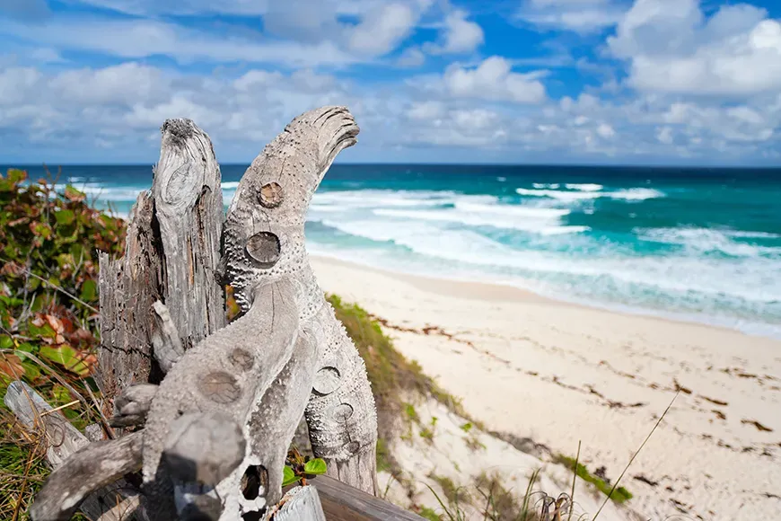 eleuthera beach bahamas.